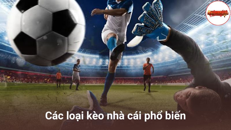 Các loại kèo nhà cái phổ biến nhất mà bạn cần biết