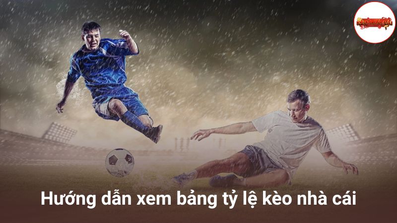 Hướng dẫn cách xem bảng tỷ lệ kèo nhà cái